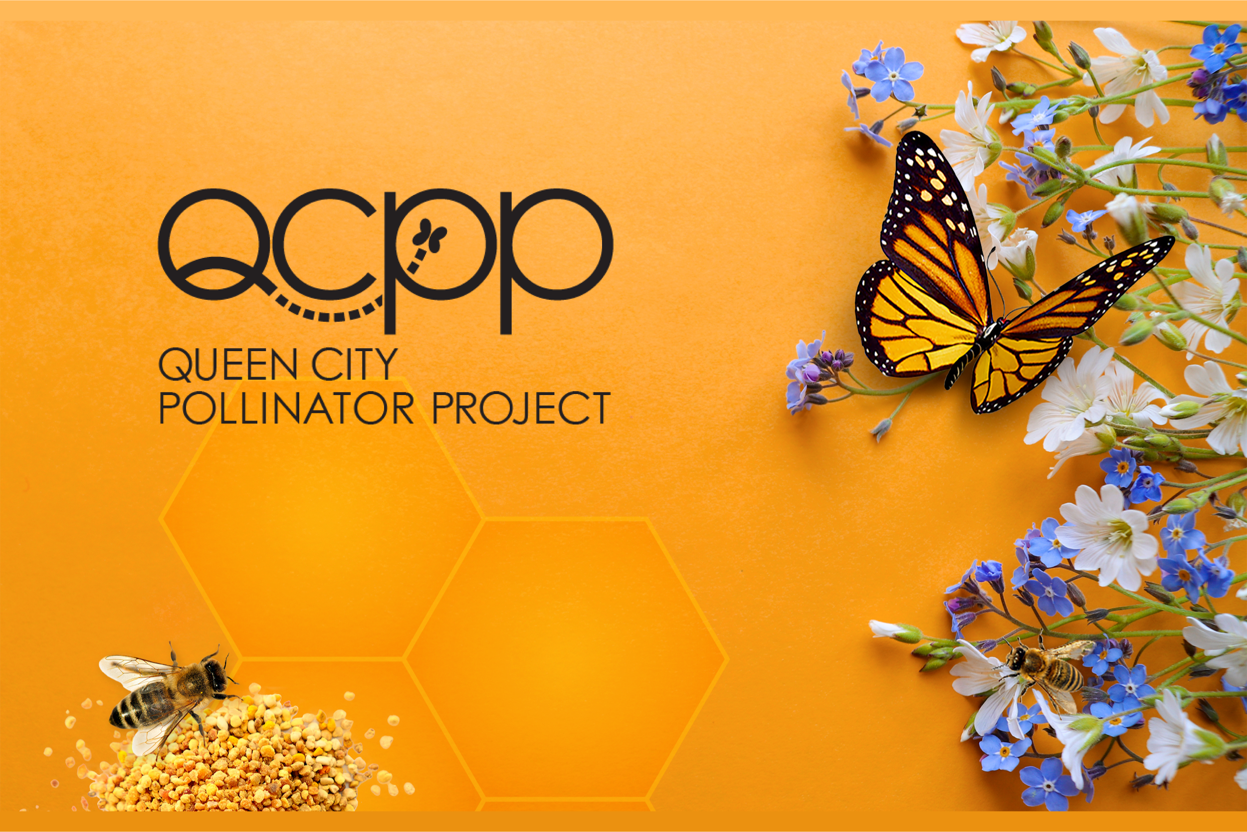 Queen City Pollinator Project